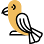 Для птиц