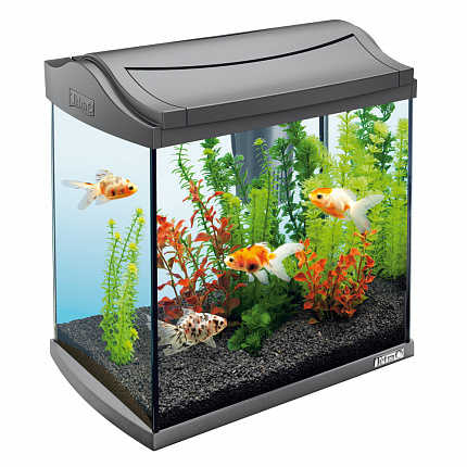 Tetra AquaArt GrayfishDiscover Line Аквариумный комплекс 30л